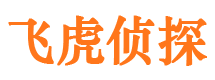 田东背景调查